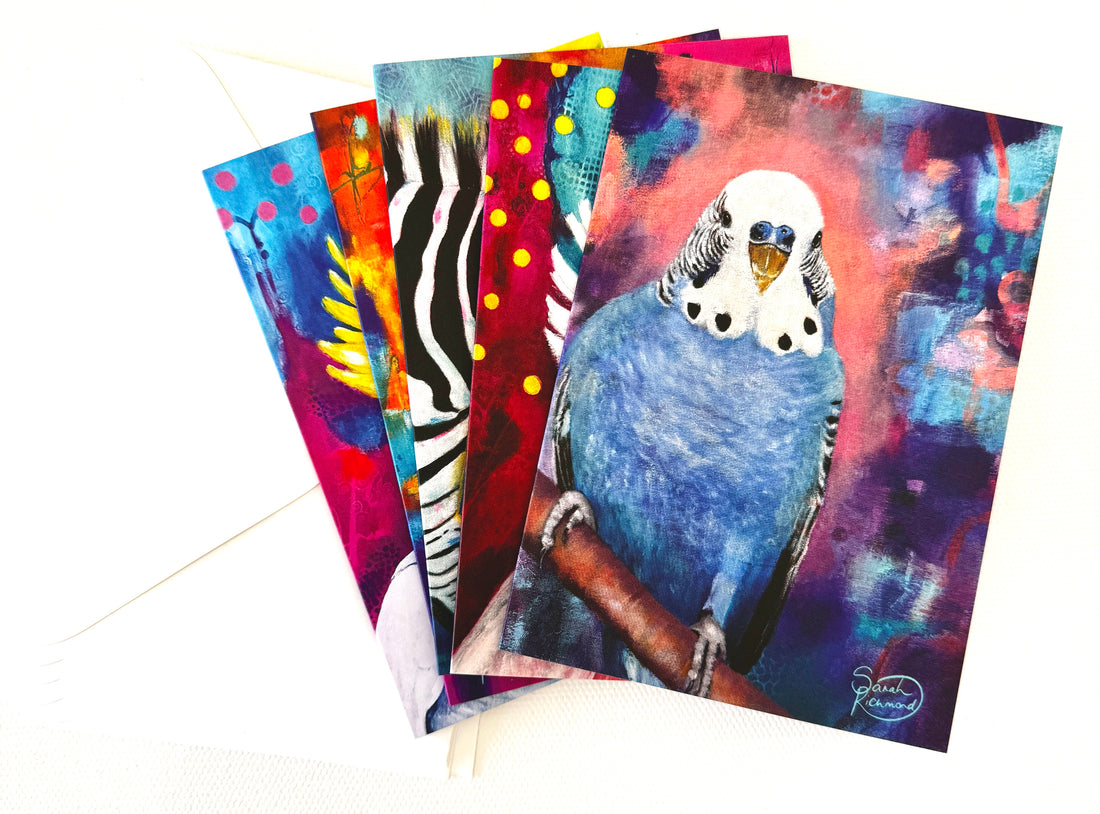 Bird/Animal Gift Cards in a pack of 5