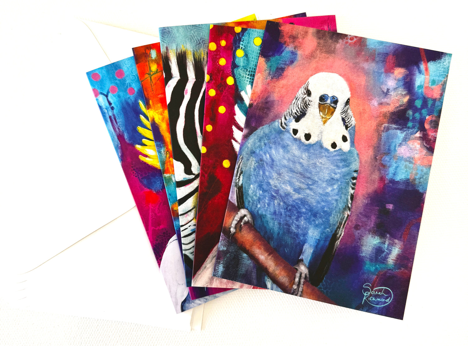 Bird/Animal Gift Cards in a pack of 5