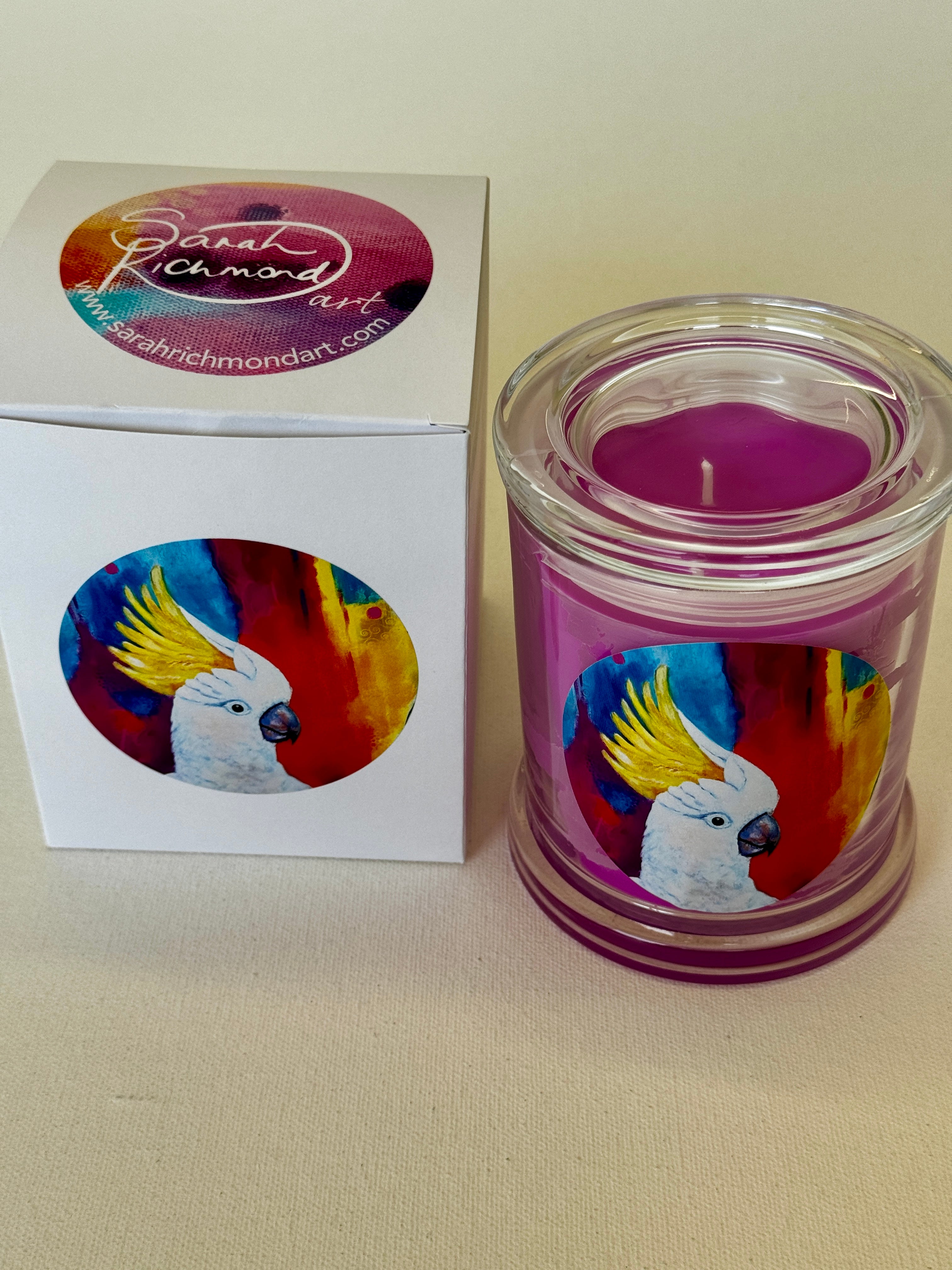 Candle in Glass Jar - Rainbow Rascal Print