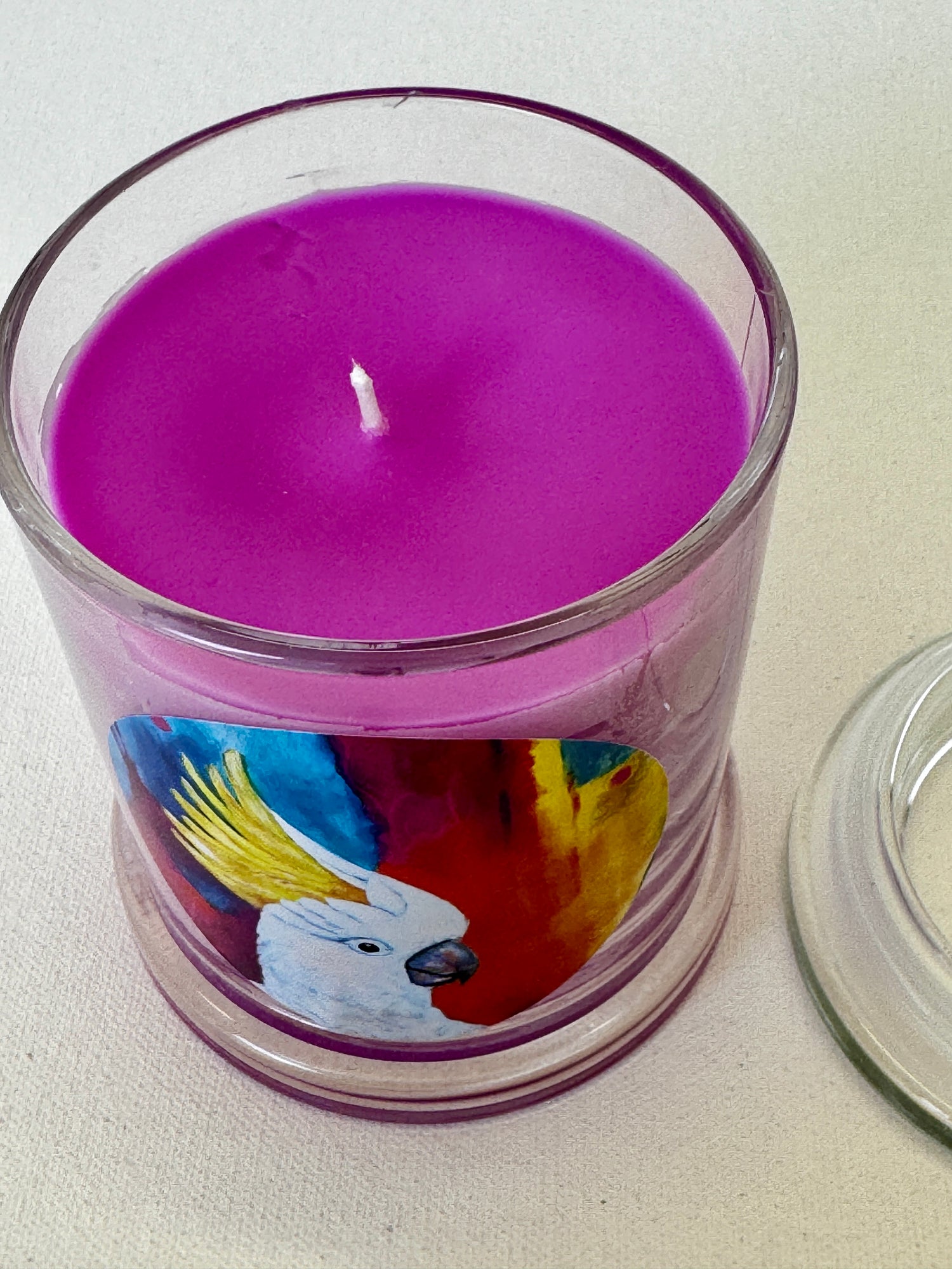 Candle in Glass Jar - Rainbow Rascal Print