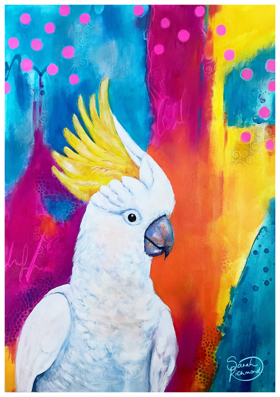 Rainbow Rascal