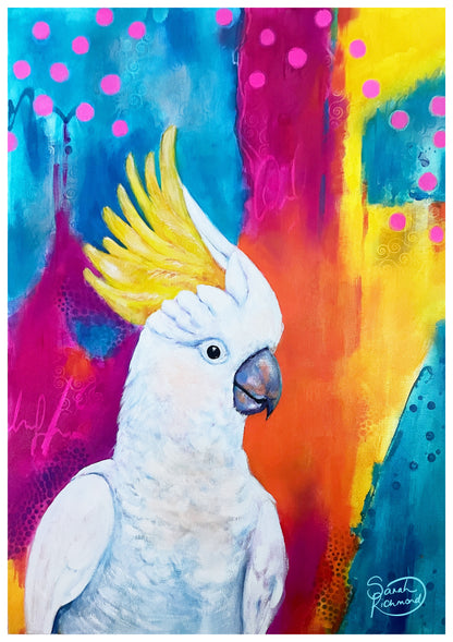 Rainbow Rascal
