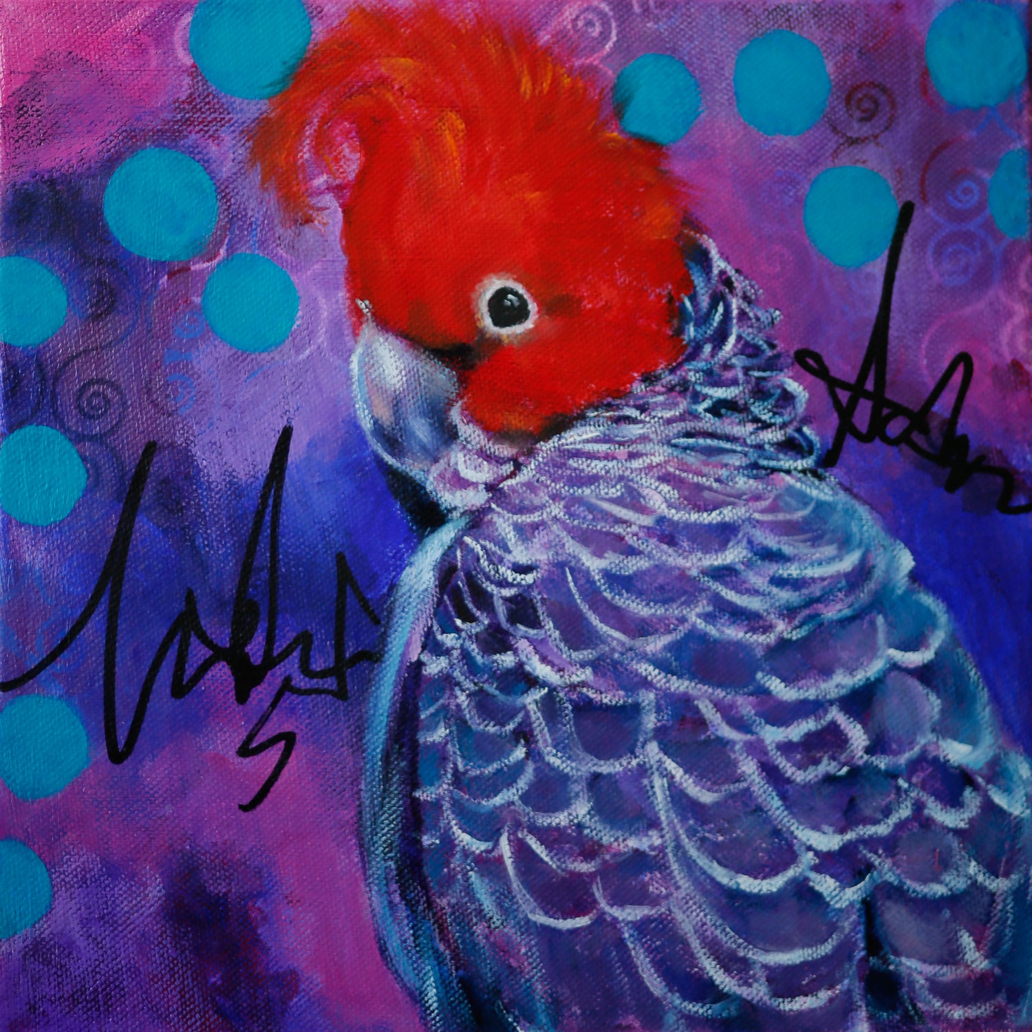 Colourful abstract realism painting of Gang Gang Cockatoo on bright abstract background.